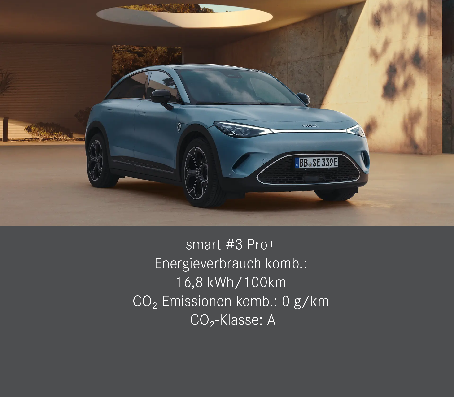 Gewerbekunden | Preisvorteil beim Kauf eines smart #3