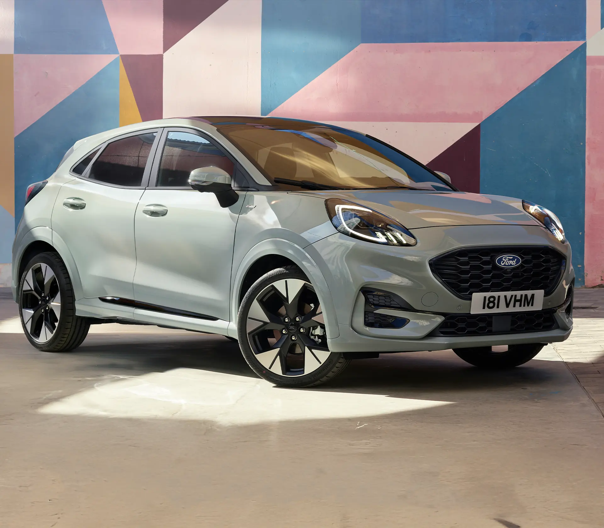 grauer Puma steht seitlich/frontal vor einer bunten Wand