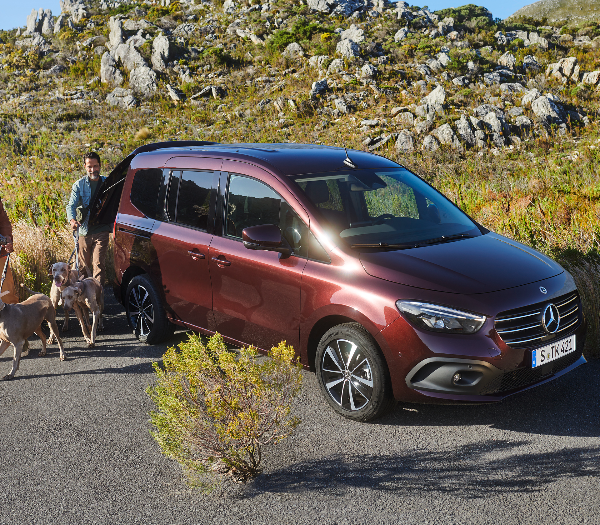 Mercedes-Benz T-Klasse 2 große Hunde werden gerade aus dem Kofferraum gelassen